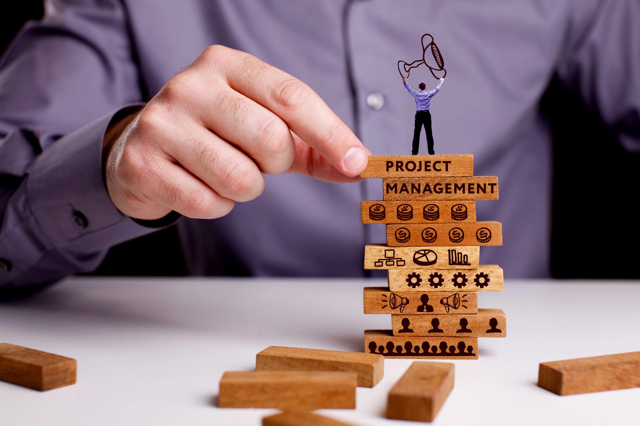 project management basics, project management strategic planning, project management for beginners, crash course for new project managers