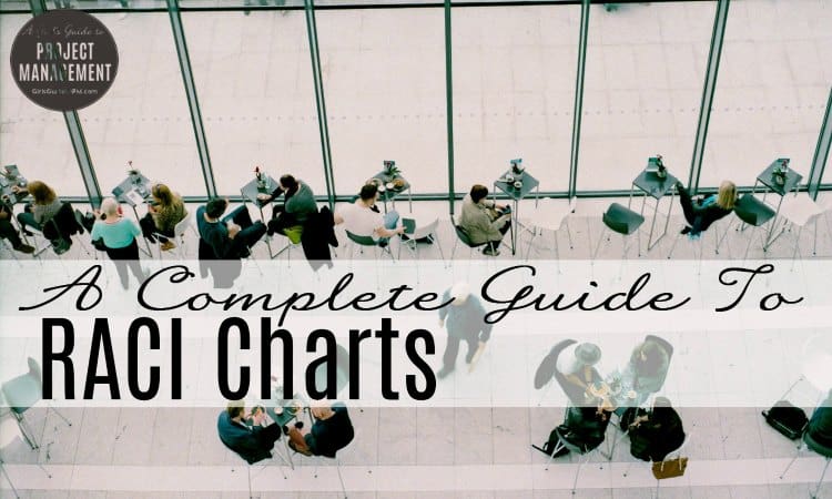 A Complete Guide To RACI Charts