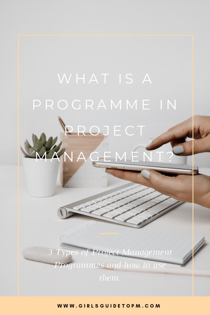 What is a programme in project management