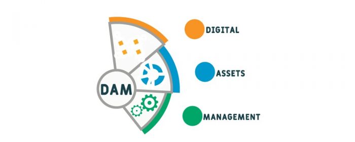 Your Guide to Digital Asset Management Workflows