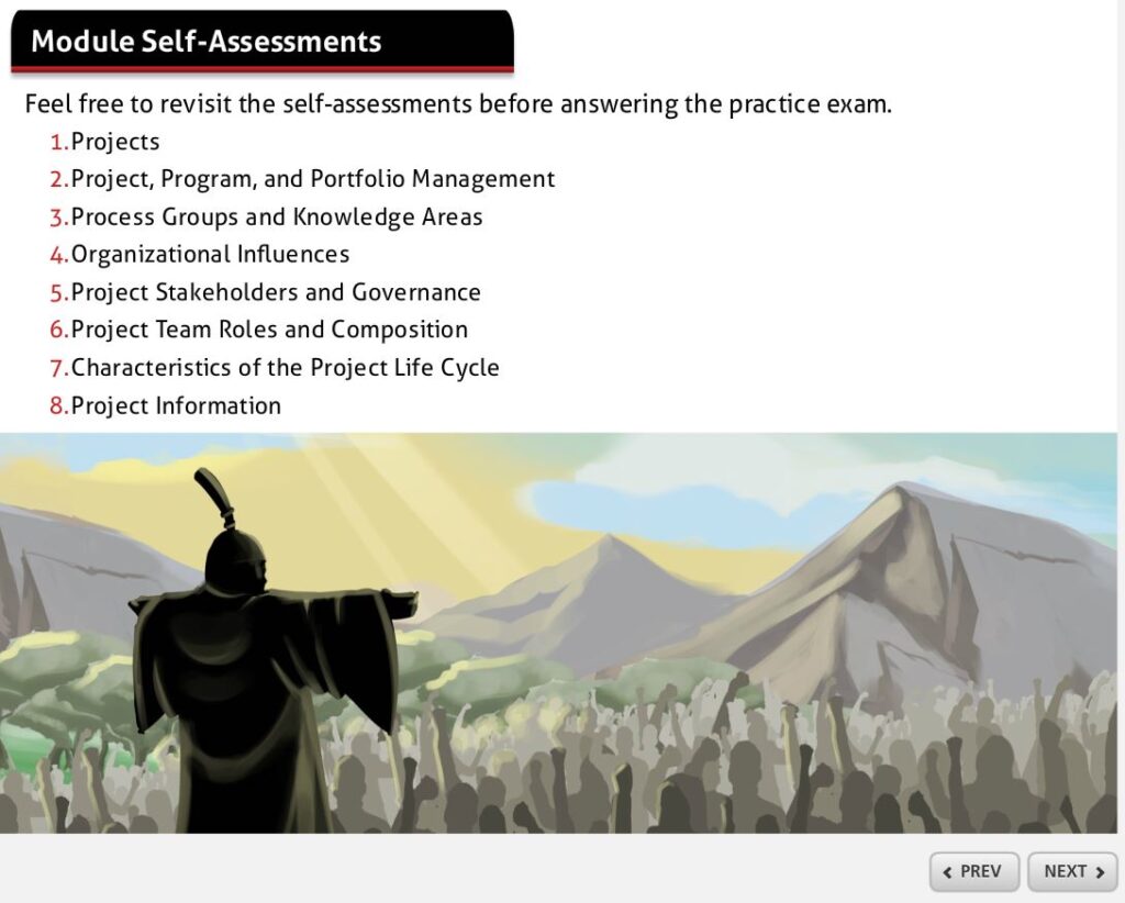 Screenshot of Brain Sensei module self-assessment