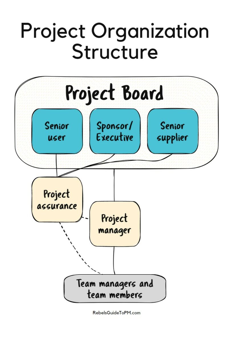 Project structure chart showing the role of project assurance function, project manager and project board